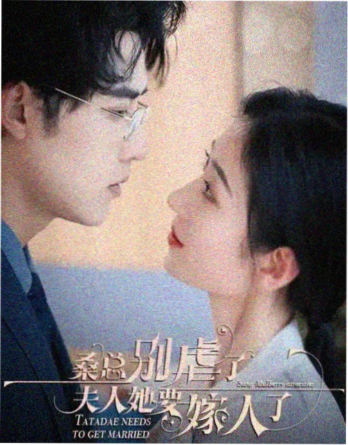 旧巷灯火电视剧免费观看